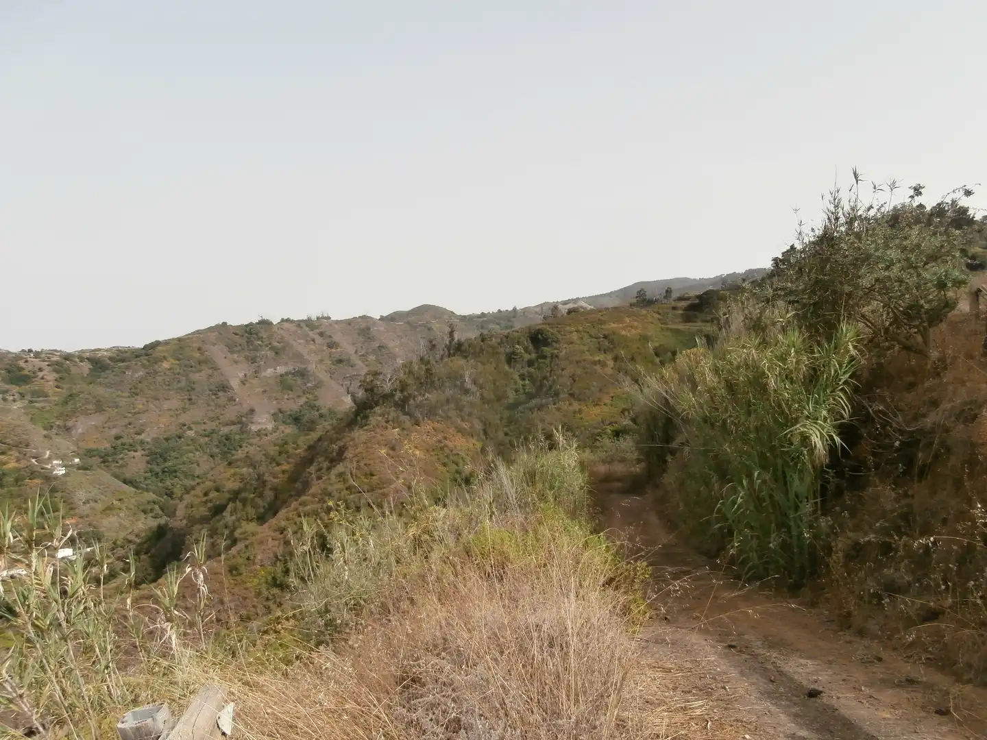 Finca rústica en venta en Camino Lomo el Marco, 41, Moya (Las Palmas)