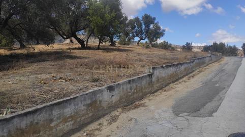 Photo 3 of Residential for sale in Oceano, 17, El Pinar- Palacio de Congresos, Torremolinos