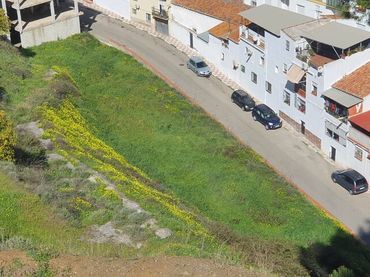 Terreny rústic en venda a Benamocarra