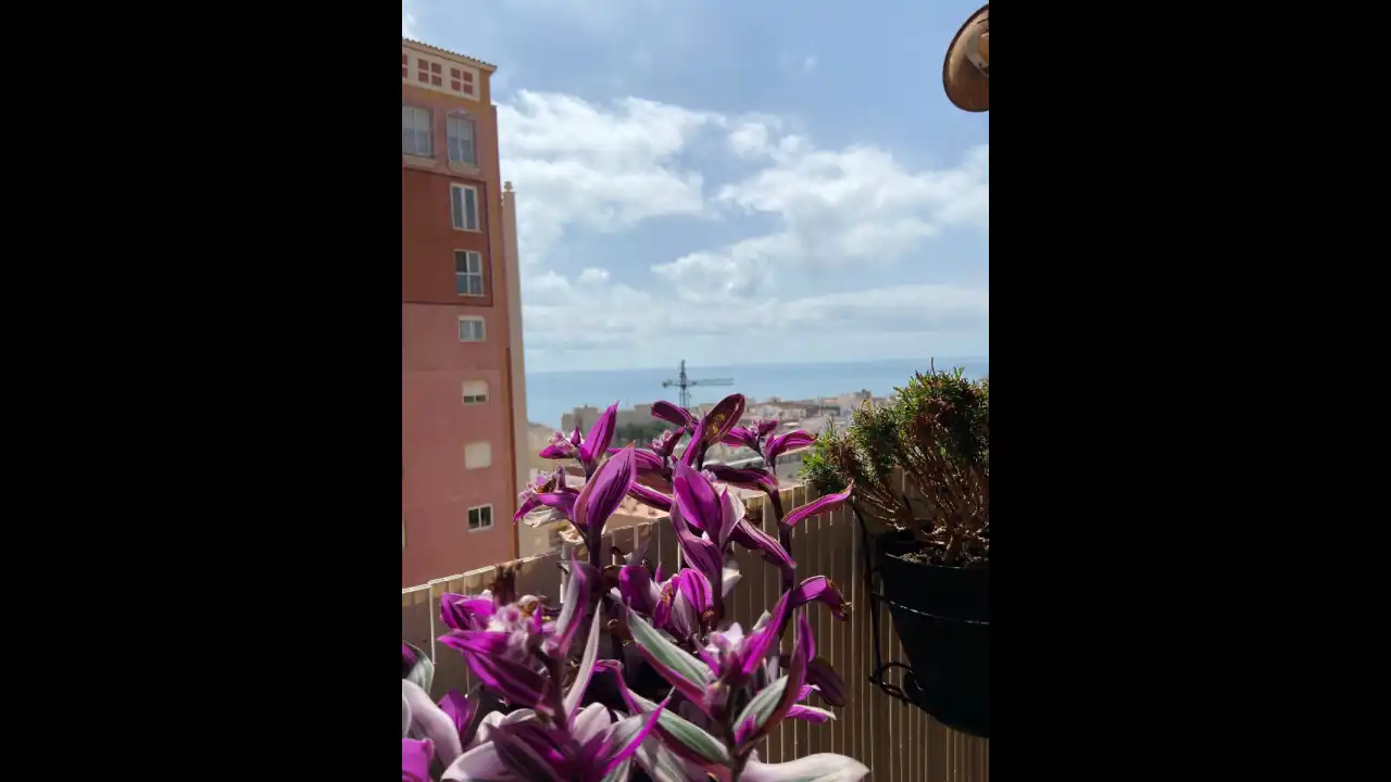 Apartament amb piscina en venda a Playa de los Locos, imagen 28