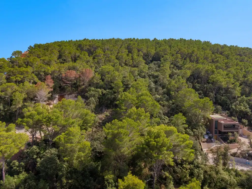 Terrain rustique à vendre à Pollença Poble, imagen 10