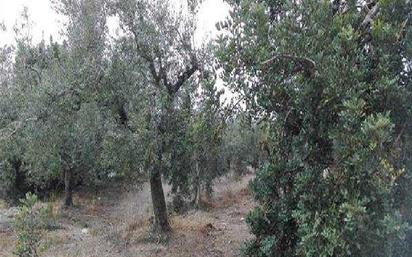 Land for sale in Reus