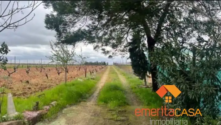 Country house zum Verkauf in Mirandilla