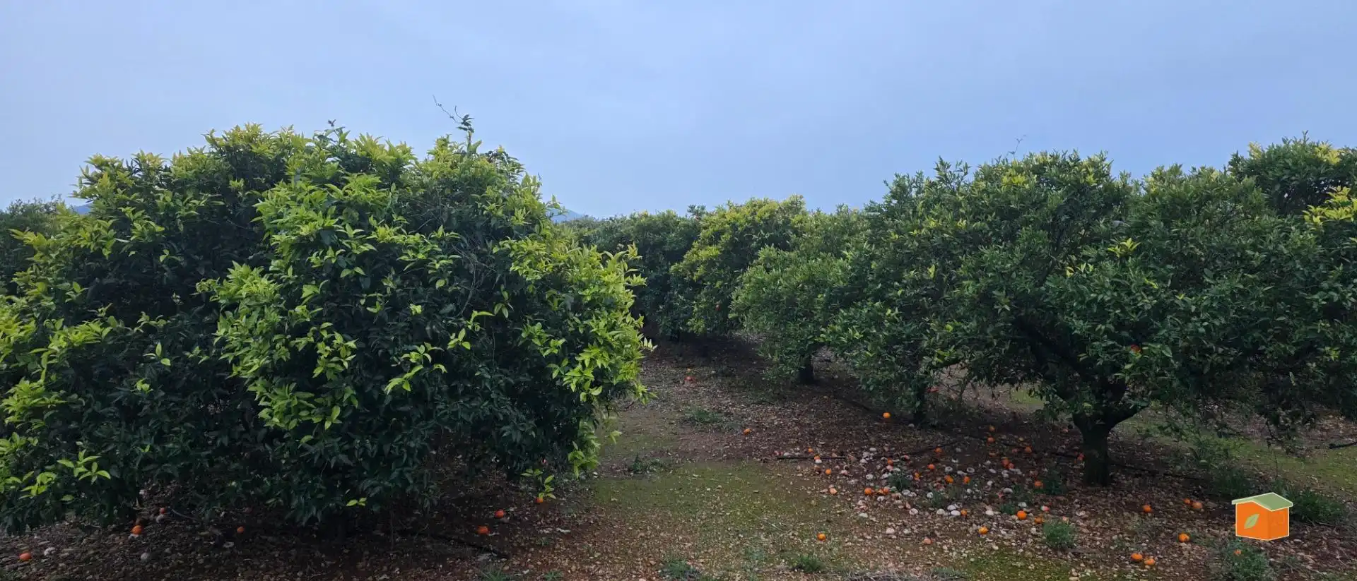 Rural land for sale in Masdenverge, imagen 4