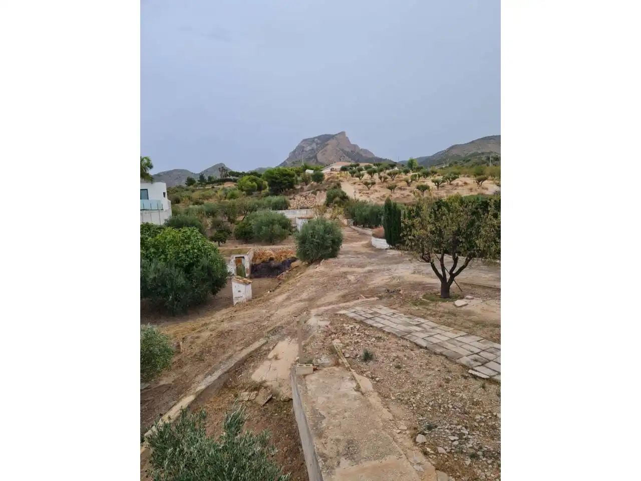Casa o chalet en venta en Petrer con Jardín privado, Terraza y Piscina