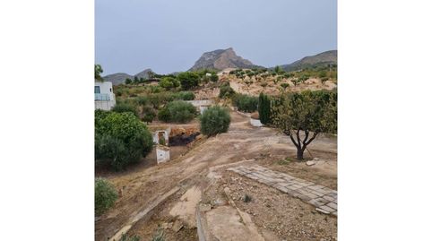 Foto 3 de Casa o chalet en venta en Petrer, Alicante
