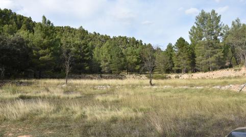 Foto 5 de Terreny en venda a La Cerollera, Teruel