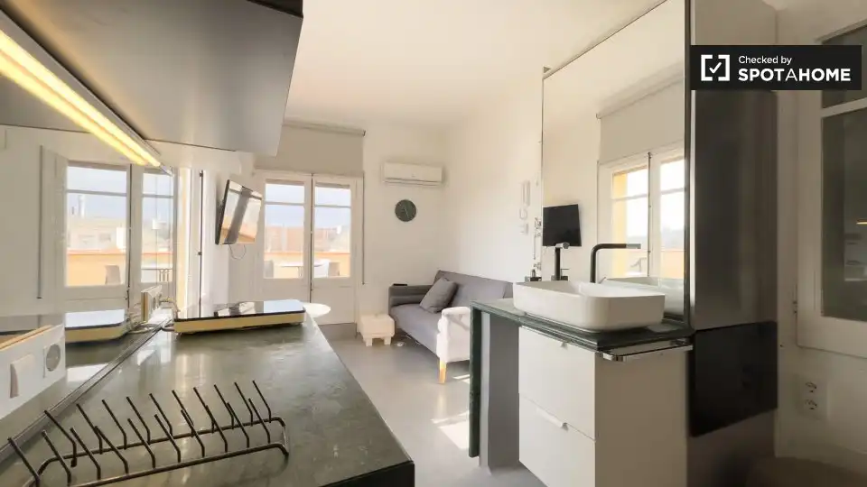Appartamento con terrazza in affitto a Ciutat Vella