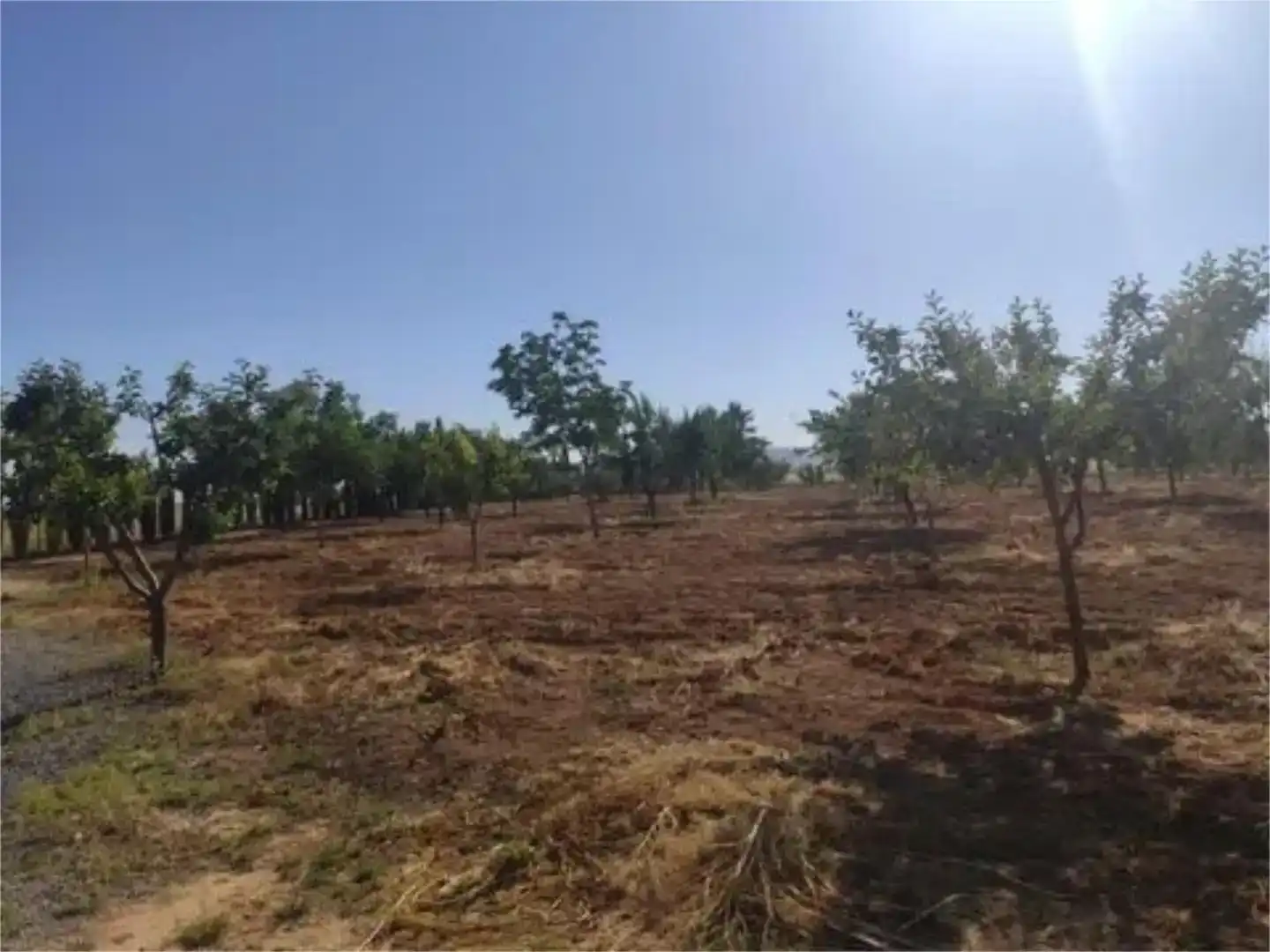 Finca rústica en venda en Consuegra amb Jardí privat i Moblat