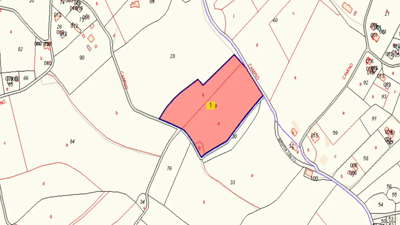 Terreny rústic en venda a Paraje Horna Baja, imagen 2
