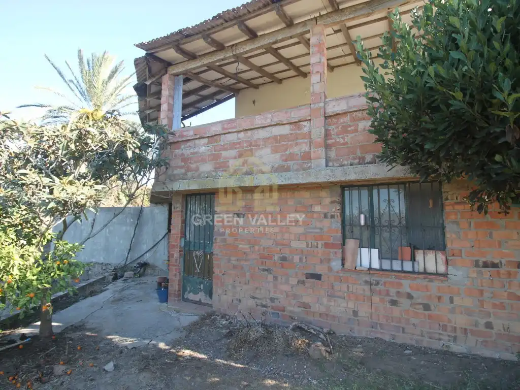 Vista exterior de Finca rústica en venta en La Alcaidesa