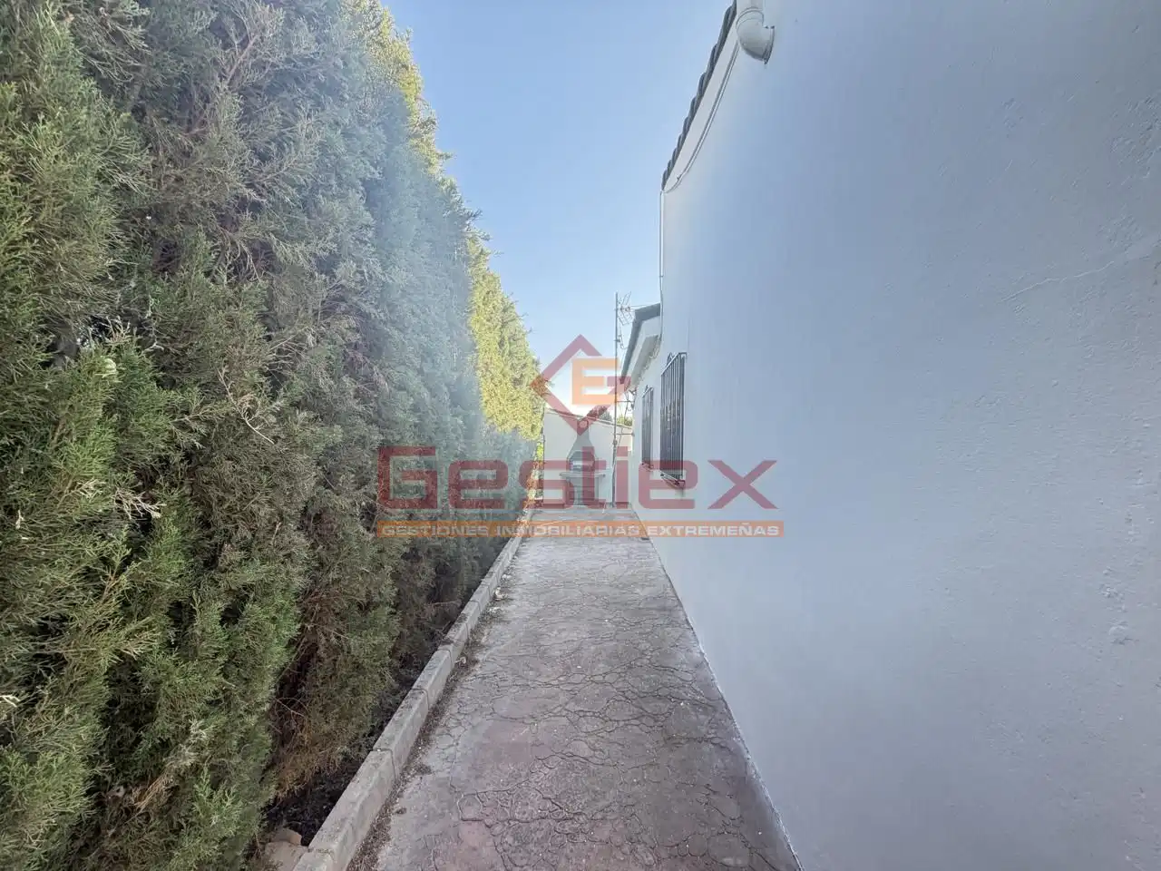 Vista exterior de Casa o chalet en venta en Almendralejo