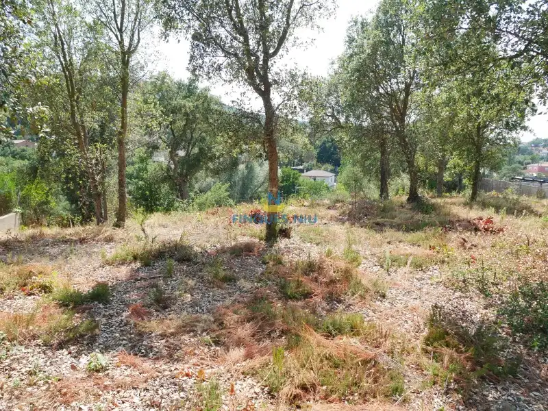 Residential land for sale in Montbarbat, imagen 6
