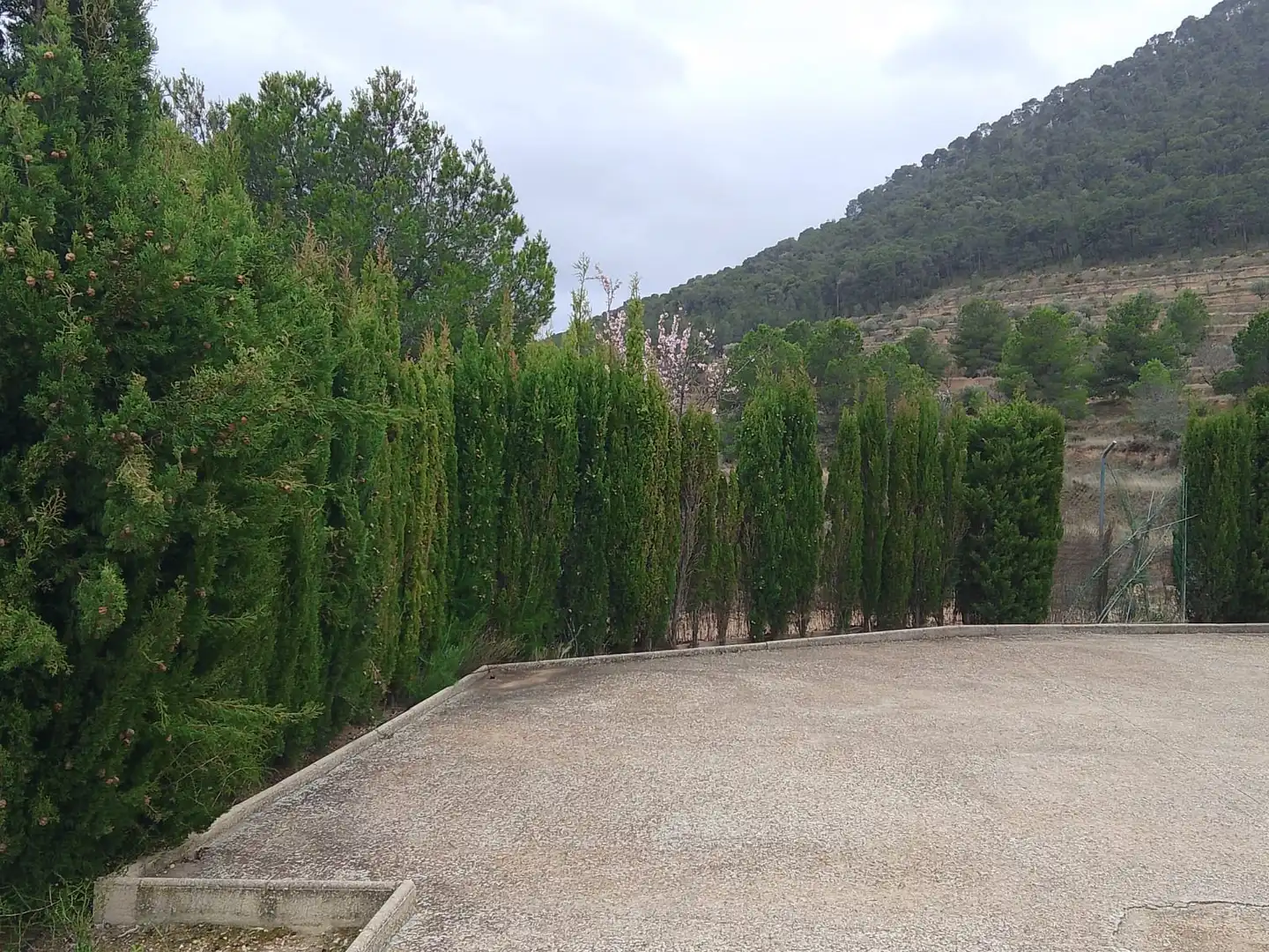 Casa o xalet en venda en Tibi amb Jardí privat, Terrassa i Moblat