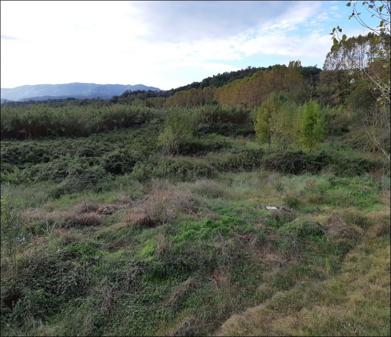 Grundstücke zum verkauf in Breda