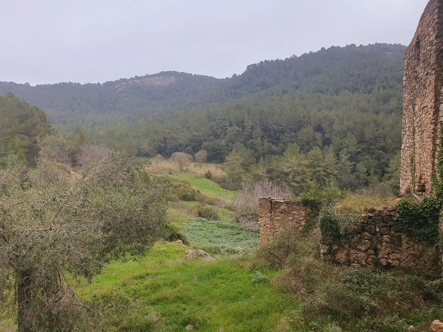 House for sale in Tivissa, imagen 58