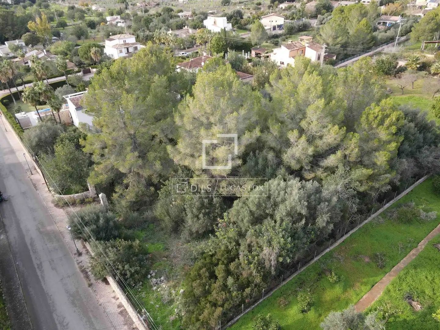 Terreny rústic en venda a Bunyola, imagen 3