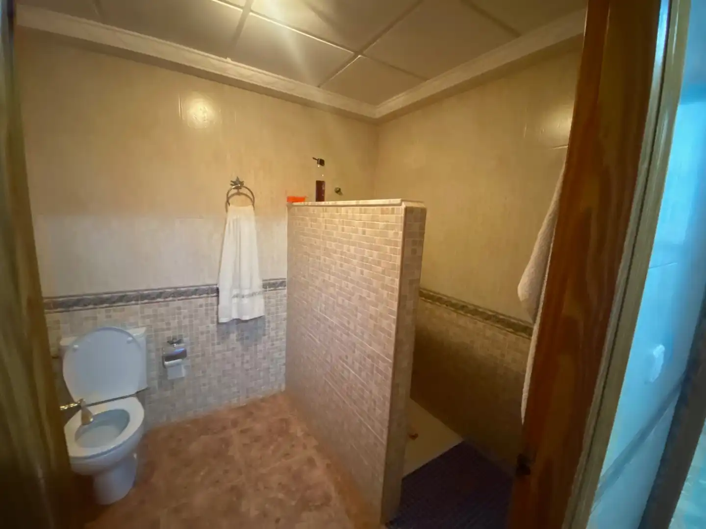 Bany de Finca rústica en venda en Elche / Elx amb Jardí privat, Terrassa i Piscina