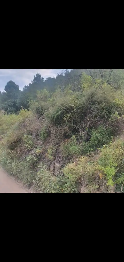 Terreno rústico en venta en Benifallet, imagen 5