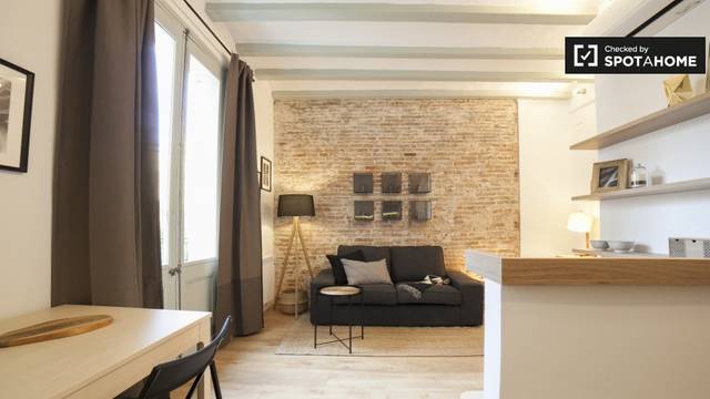 Piso en Alquiler en El Raval