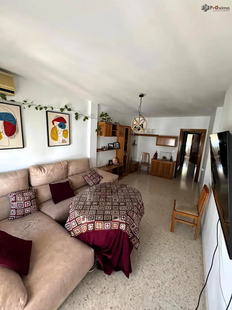 Living room of Flat for sale in Écija  with Air Conditioner, Terrace and Furnished