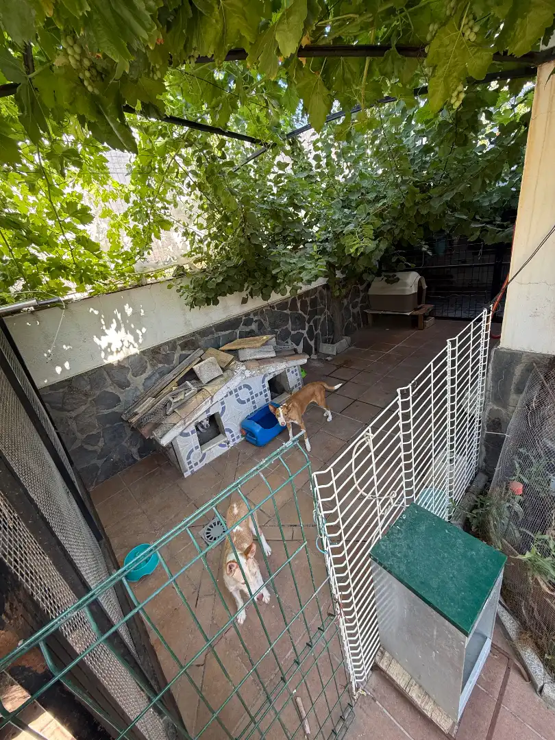 House with terrace for sale in Calle Pilar Contreras, imagen 7