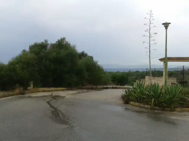 Terreny rústic en venda a C/ Son Gual, imagen 12