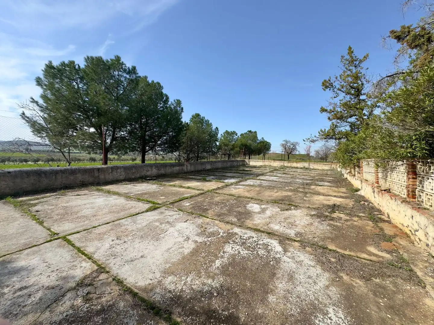Casa rústica amb terrassa en venda a Torrenueva, imagen 61