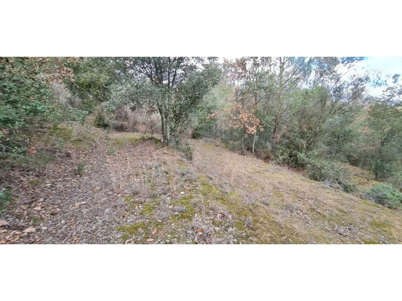 Rural land for sale in Lliçà d'Amunt, imagen 18