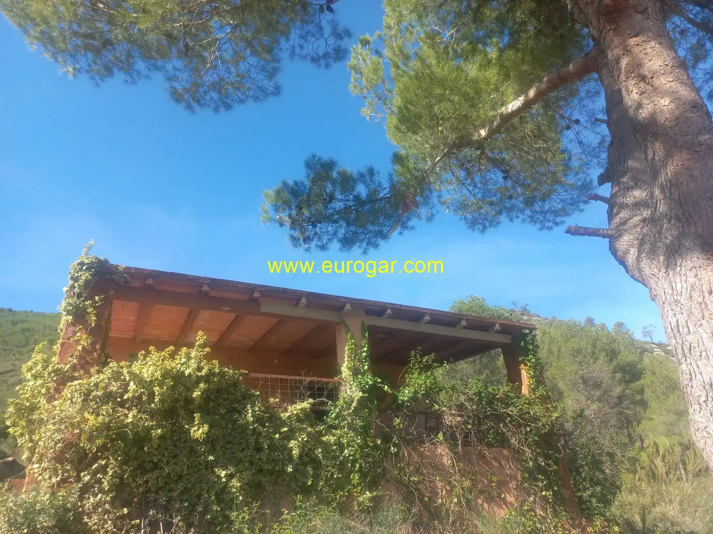 Jardín de Casa o chalet en venta en Chiva con Trastero