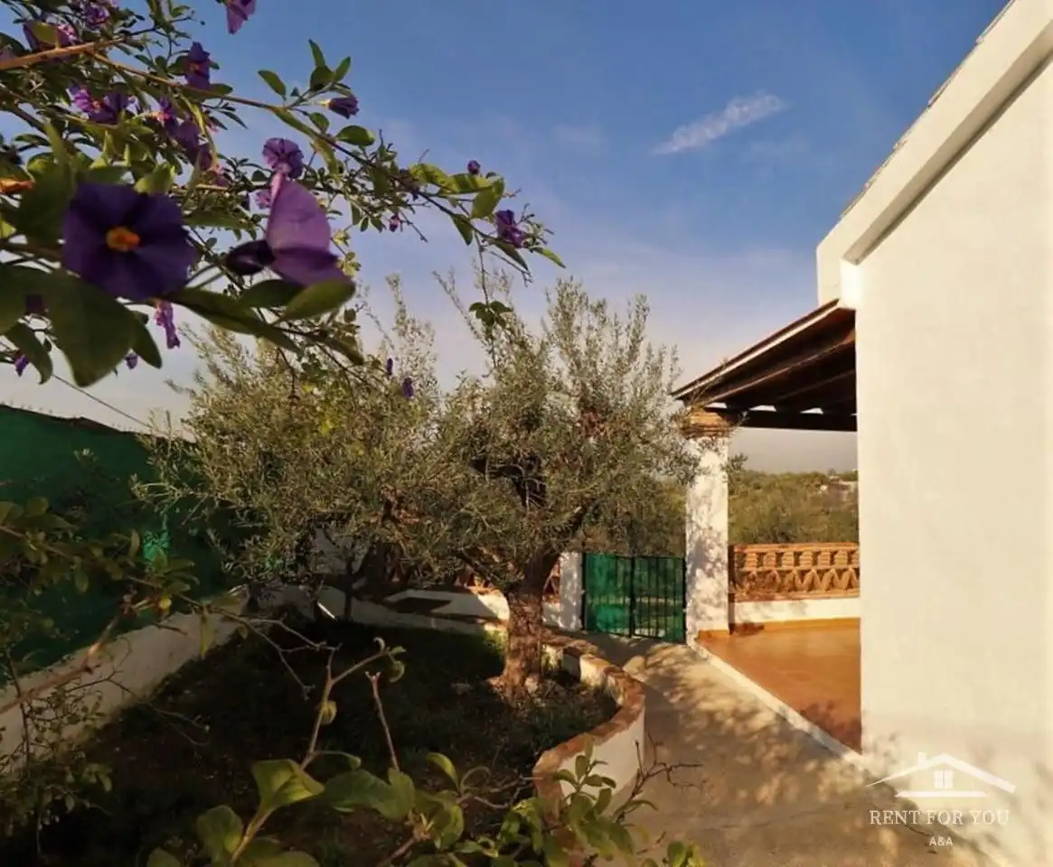 Casa con piscina in affitto a Zona rural, imagen 13