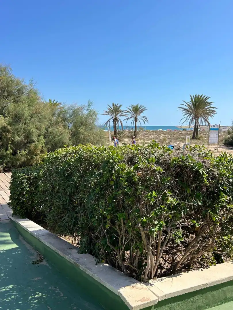 Apartamento con piscina en venta en Playa de Gandia, imagen 20