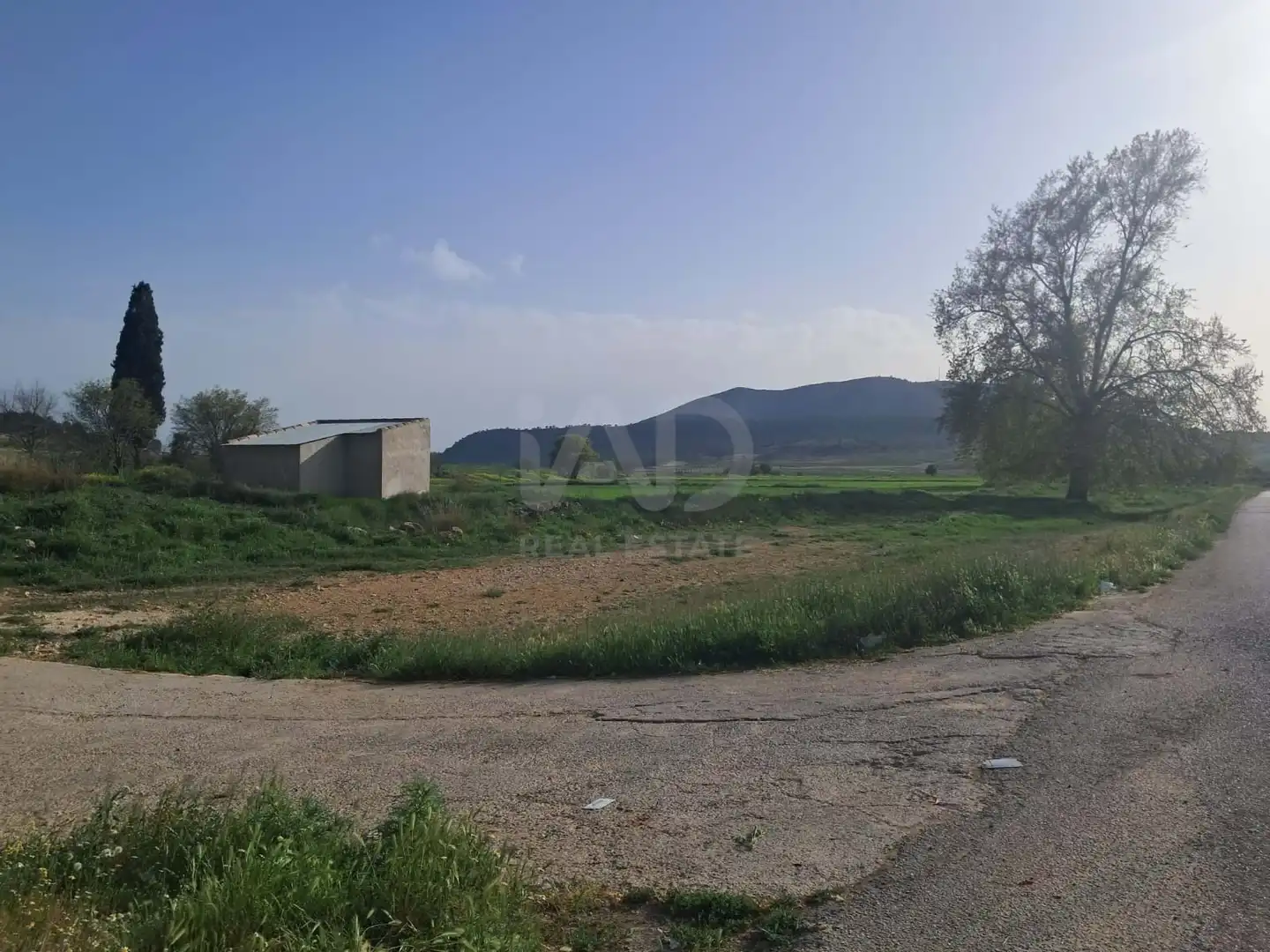 Detached homes for sale in Lorca