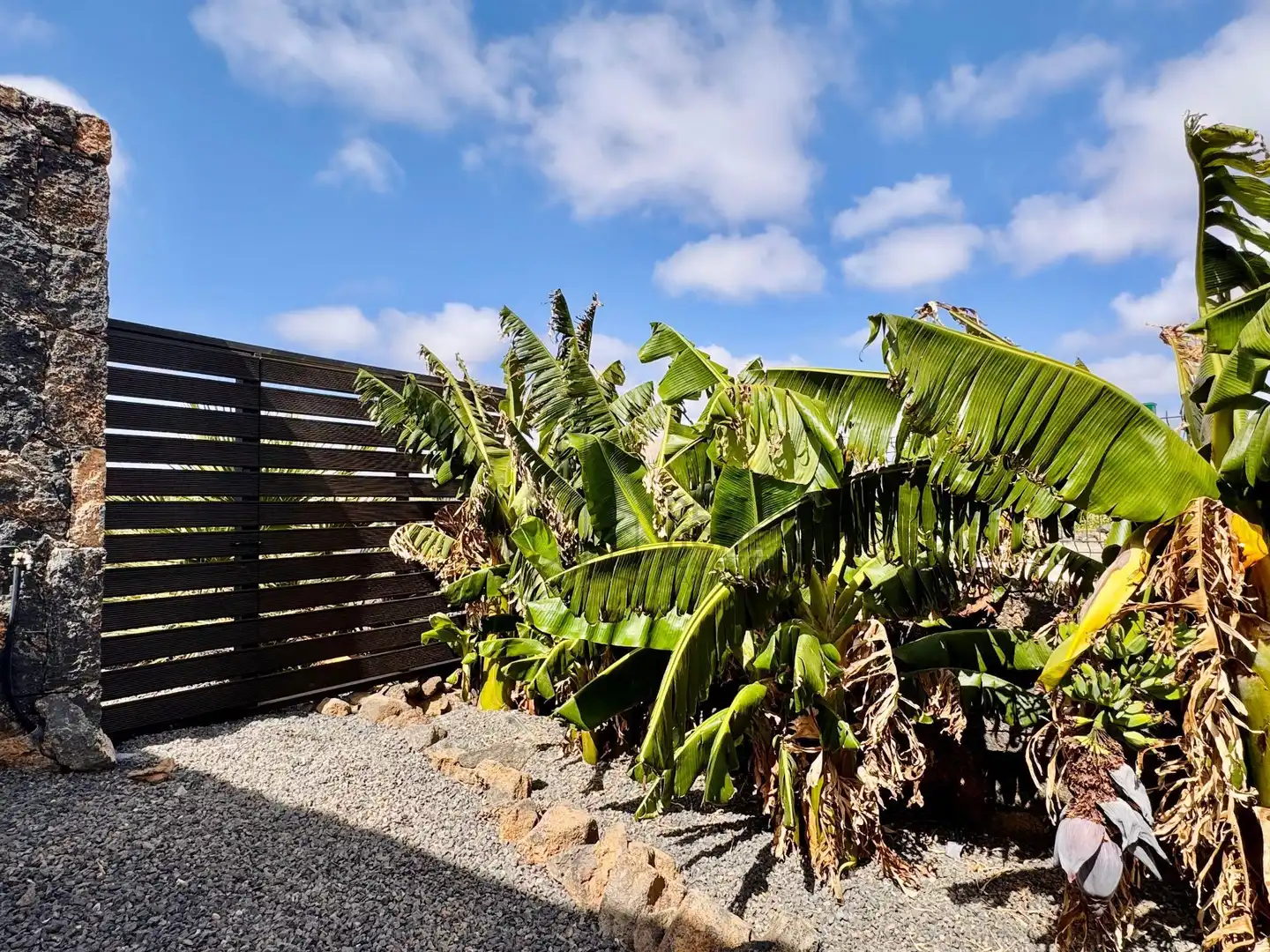 Casa con jardín en venta en Del Morro, imagen 61