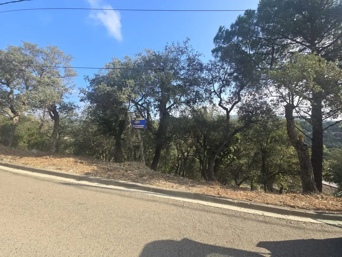 Lands and plots for sale in Olivera, imagen 4
