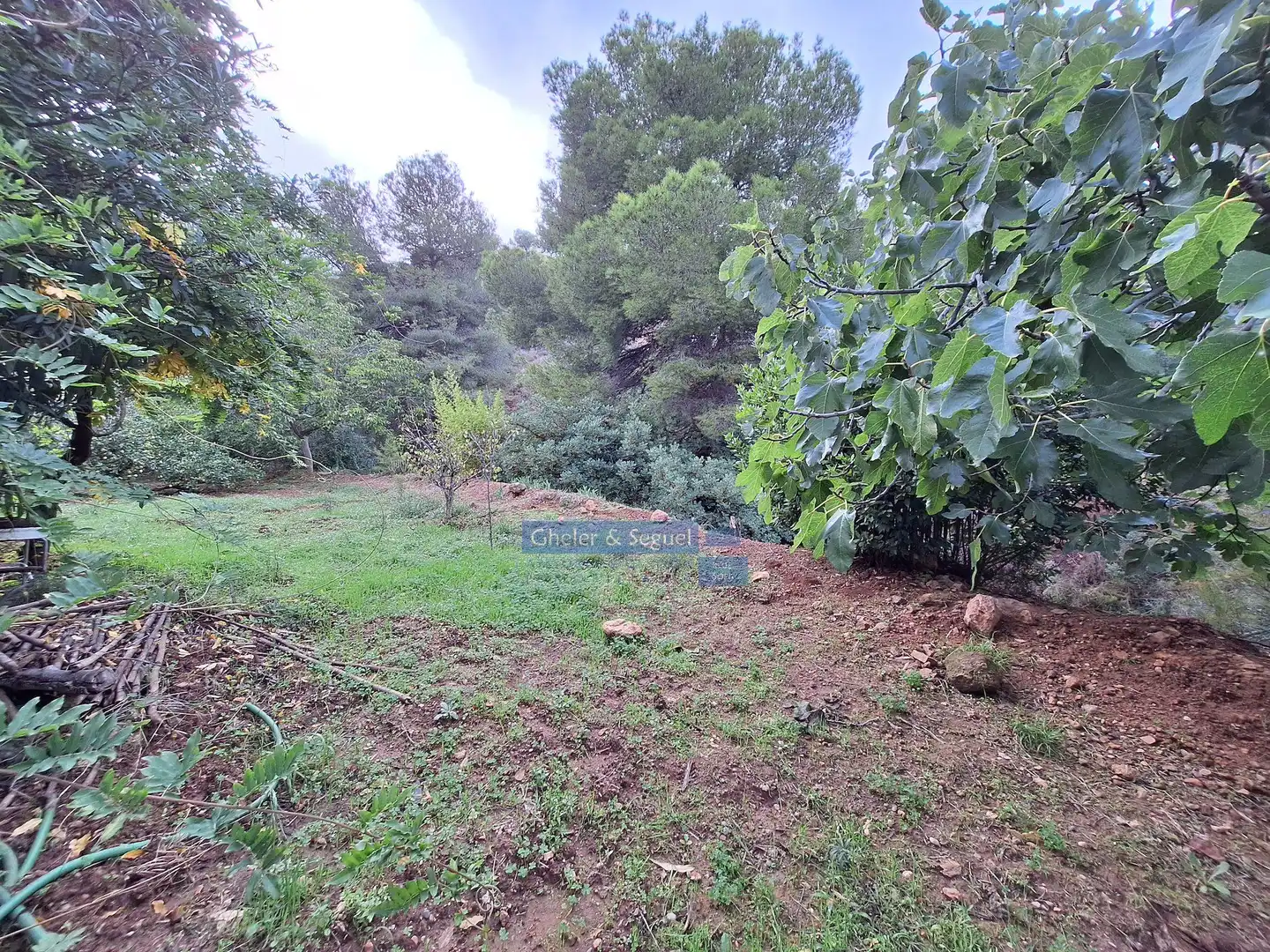 Terreni e lotti in vendita a Serra, imagen 2