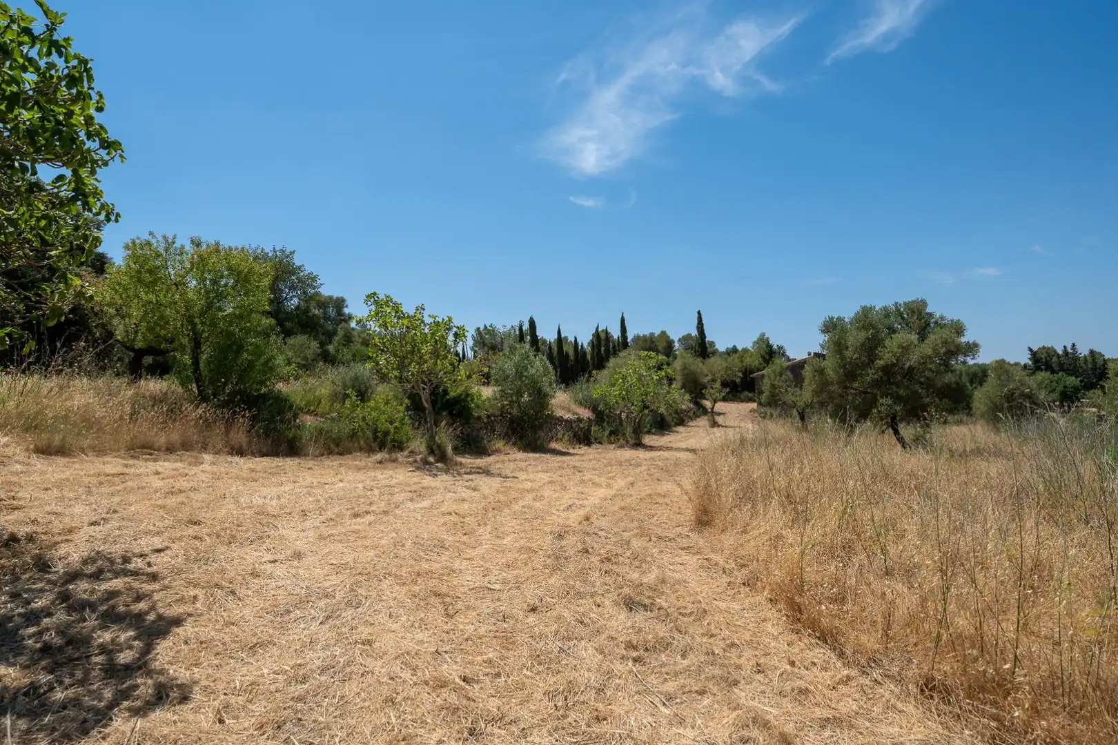 Casa o chalet en venta en Alaró con Jardín privado