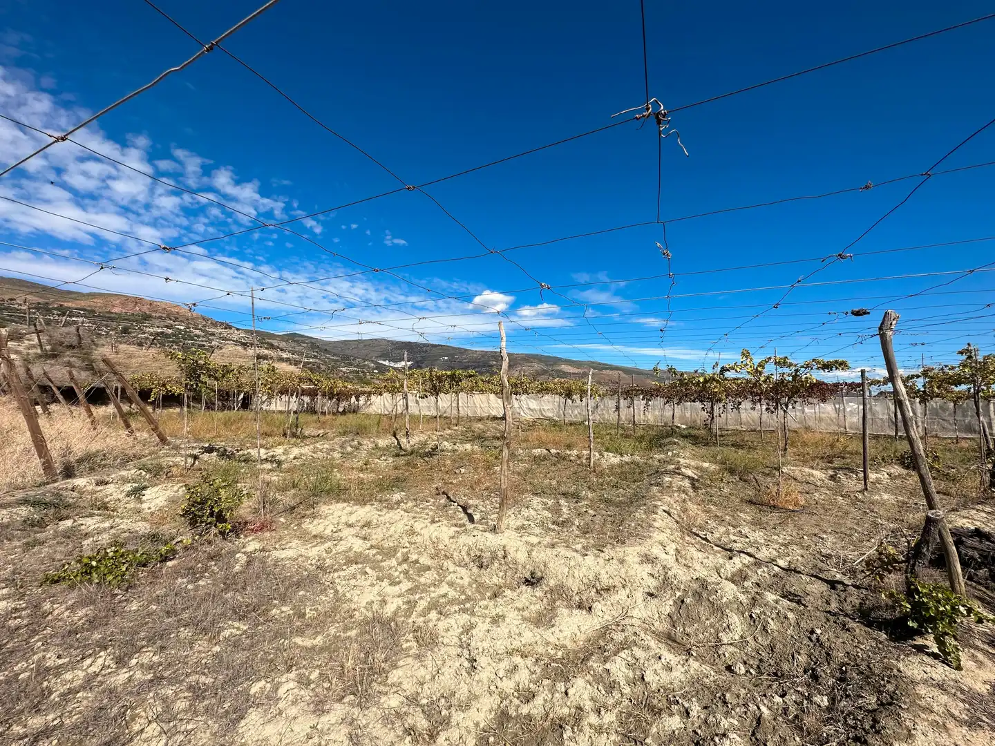 Finca rústica en venda en Canjáyar amb Jardí privat, Terrassa i Traster