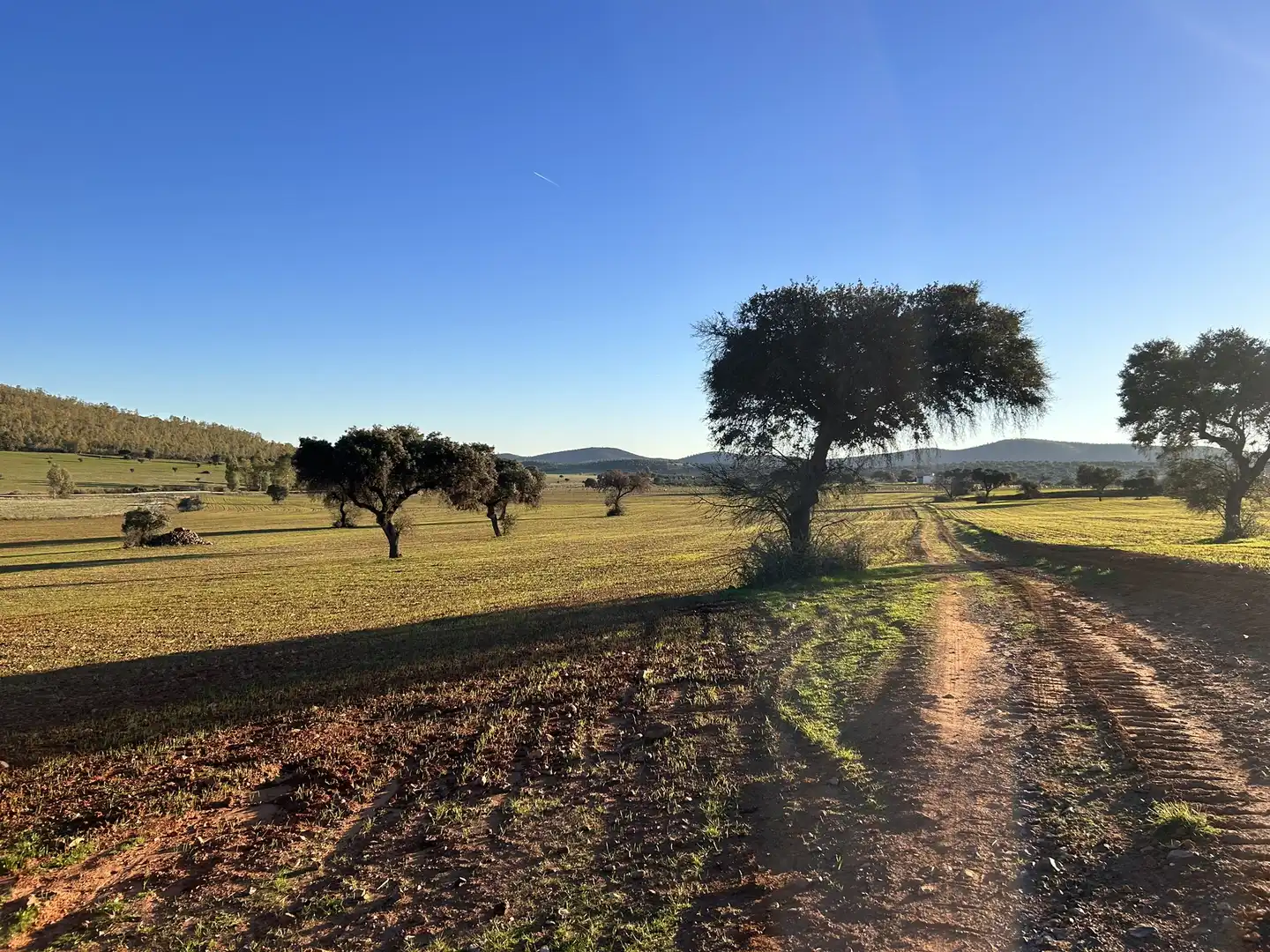 Terreny rústic en venda a Peraleda del Zaucejo, imagen 13