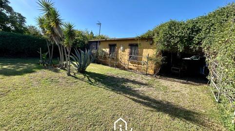 Foto 3 de Finca rústica en venda a Laguna Torrejon, Trigueros, Huelva