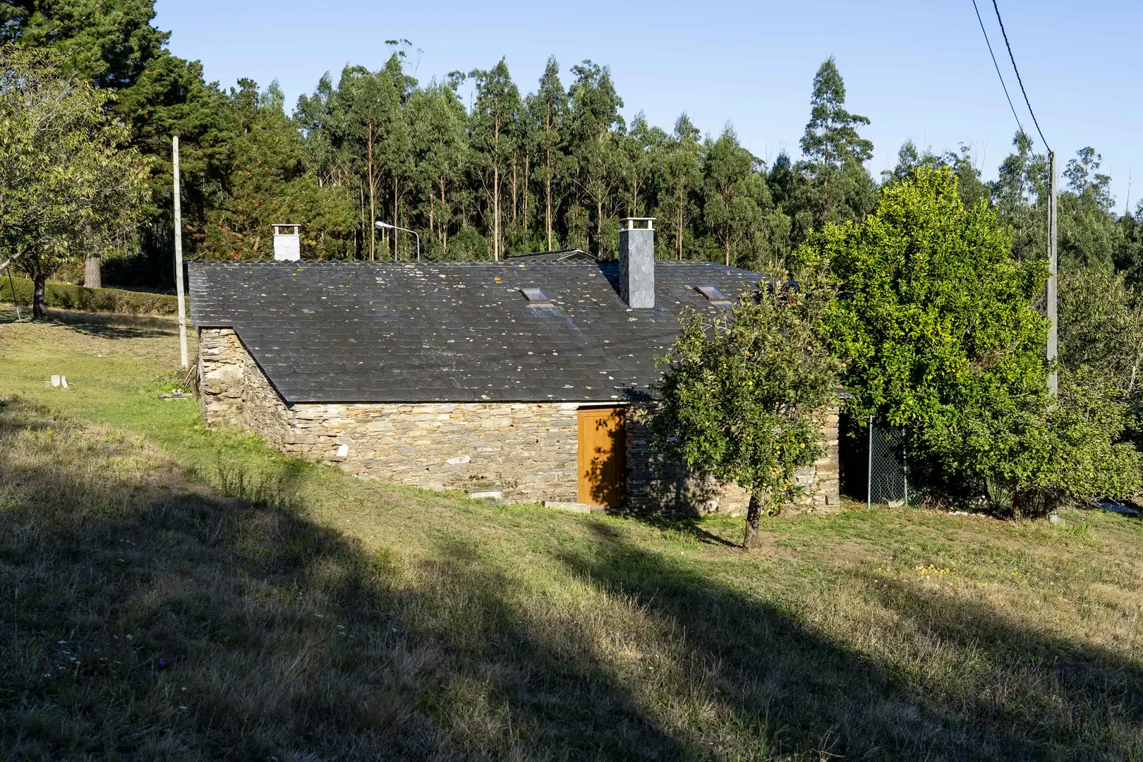 Vista exterior de Finca rústica en venta en San Tirso de Abres con Amueblado