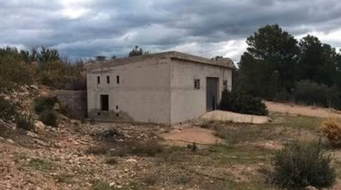CÍTRICOS ABANDONADOS, ALMACÉN Y CASETA, immagine 2