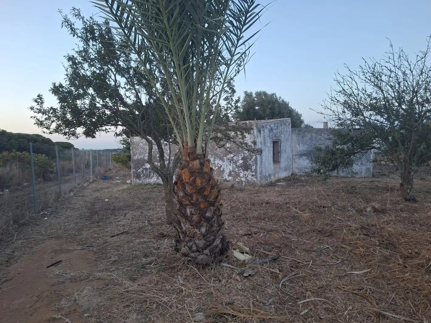 Casa o chalet en venta en Pelagatos - Pago del Humo