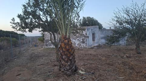 Foto 3 de Casa o xalet en venda a Pelagatos - Pago del Humo, Cádiz