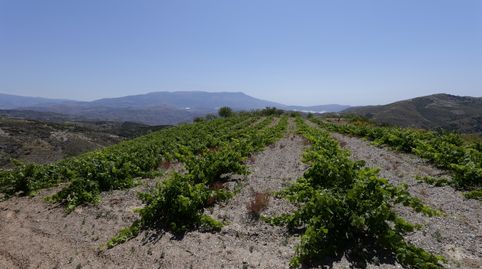 Photo 2 of Land for sale in Calle Antonio Manzano, 19, Murtas, Granada