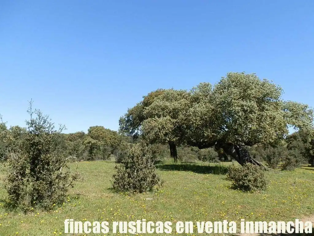 Terreno rustico in vendita a Ciudad Rodrigo, imagen 4