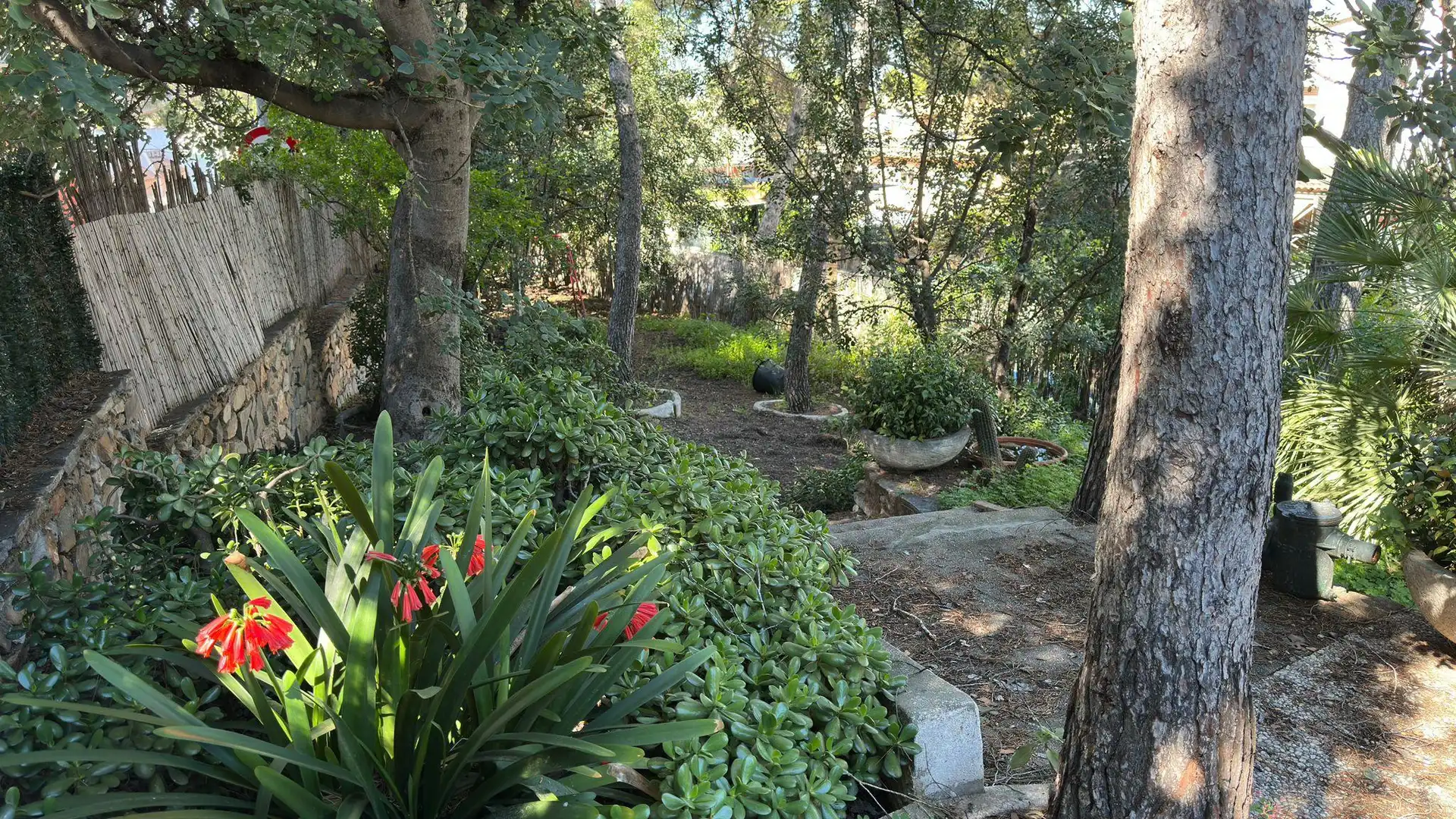 Finca rústica en venta en Santo Angel