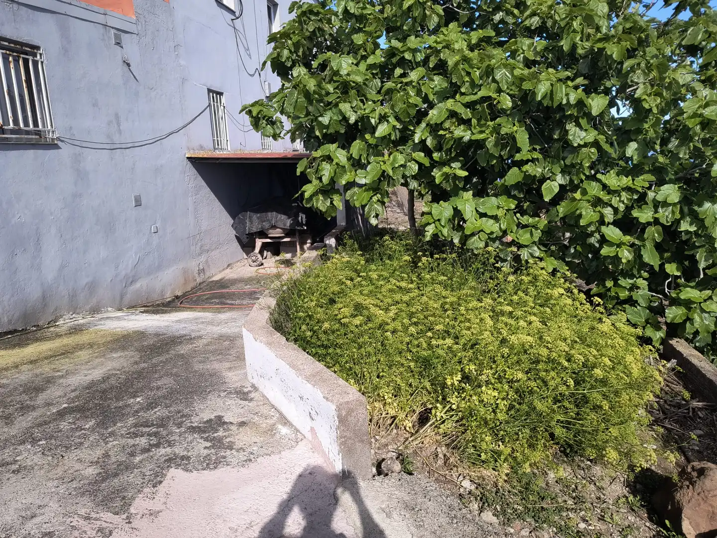 Haus oder Chalet zum Verkauf in Los Realejos mit Privatgarten und Terrasse