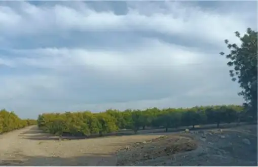 Terreny rústic en venda a Santa Bàrbara, imagen 10