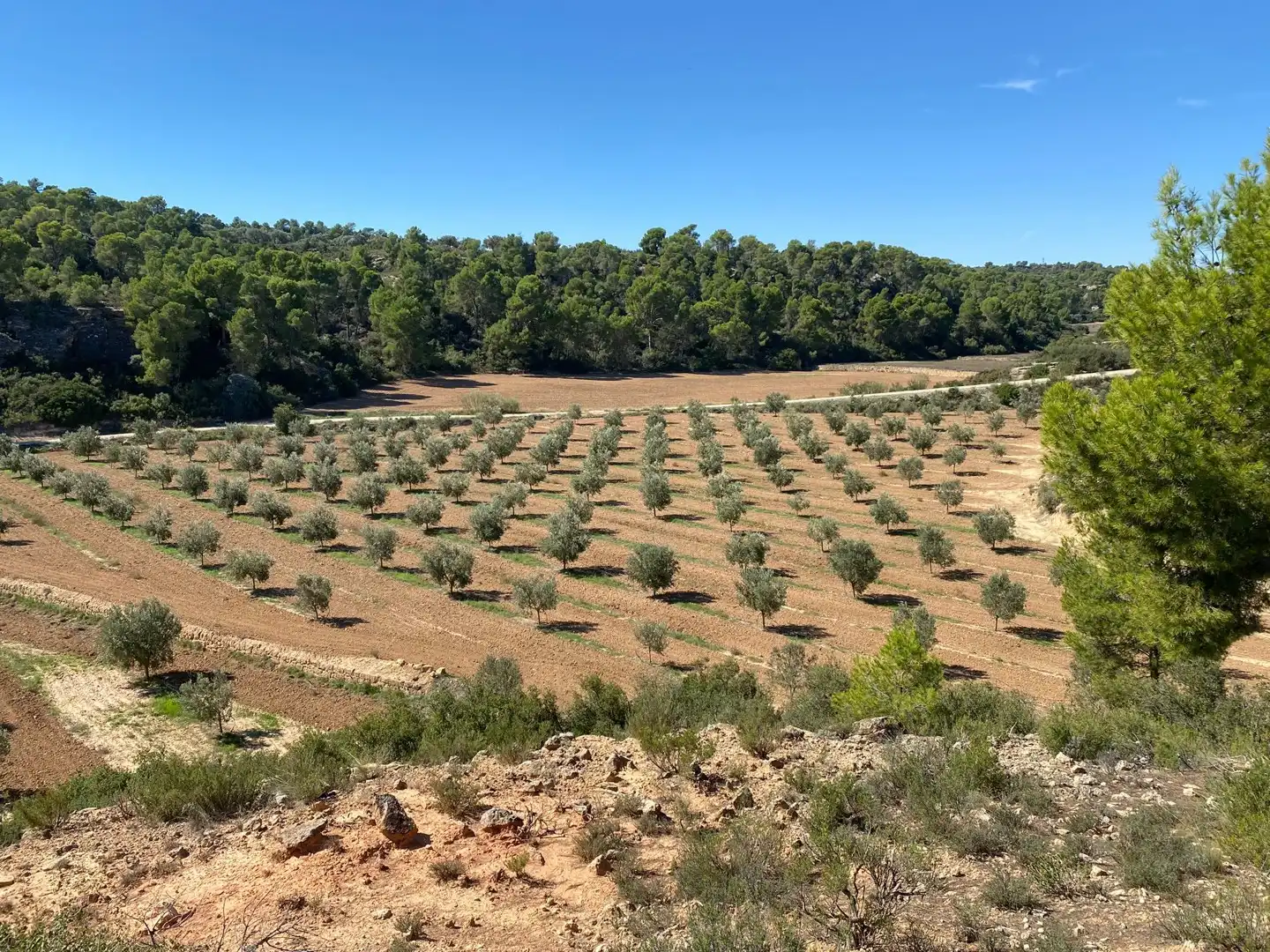 Casa o chalet en venta en Alcañiz con Terraza